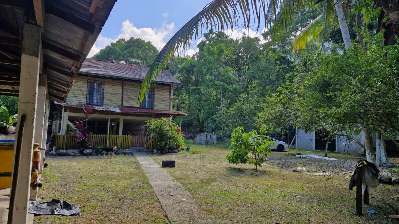 <h3><strong>Venta de hermosa propiedad en Aldea El Rodeo, Trinidad, Santa B&aacute;rbara</strong></h3> <p><strong>Precio:</strong> L 8,000,000.00<br /> <strong>Medidas:</strong> 5 manzanas y 13 tareas</p> <hr /> <h4><strong>Cultivos y producci&oacute;n:</strong></h4> <ul> <li> <p><strong>4 manzanas cultivadas con:</strong></p> <ul> <li>276 &aacute;rboles de cedro (2 a&ntilde;os)</li> <li>410 &aacute;rboles de caoba (2 a&ntilde;os)</li> <li>182 &aacute;rboles de san juan (2 a&ntilde;os)</li> <li>518 &aacute;rboles de san juan (2 meses)</li> </ul> </li> <li> <p><strong>&Aacute;rboles listos para acerrar:</strong></p> <ul> <li>72 &aacute;rboles de caoba</li> <li>54 &aacute;rboles de cedro</li> <li>40 &aacute;rboles de laurel</li> </ul> </li> <li> <p><strong>Otros cultivos:</strong></p> <ul> <li>Plantaci&oacute;n de caf&eacute;</li> <li>&Aacute;rboles frutales: mango, aguacate, lim&oacute;n indio, yuca, banano, guayaba, entre otros</li> </ul> </li> </ul> <hr /> <h4><strong>Infraestructura y servicios:</strong></h4> <ul> <li>Energ&iacute;a el&eacute;ctrica con transformador propio</li> <li>6 l&aacute;mparas de poste</li> <li>Agua potable con pegue propio</li> <li>Pozo de agua de 23 pies</li> <li>Paso de servidumbre</li> <li>Impuestos pagados al d&iacute;a</li> <li>Escritura con dominio pleno</li> </ul> <hr /> <h4><strong>Construcciones en la propiedad:</strong></h4> <ul> <li> <p><strong>Caba&ntilde;a en 1 manzana de terreno:</strong></p> <ul> <li>2 dormitorios</li> <li>2 ba&ntilde;os</li> <li>2 cocinas</li> <li>Cielo falso de madera machimbrada</li> <li>Horno funcional en el frente</li> <li>Estacionamiento para veh&iacute;culo</li> </ul> </li> <li> <p><strong>Bodega de concreto:</strong></p> <ul> <li>2 dormitorios</li> <li>Cocina en la parte trasera</li> </ul> </li> </ul> <hr /> <h4><strong>Infraestructura adicional:</strong></h4> <ul> <li>Laguna funcional para crianza de tilapia</li> <li>Corral para ganado</li> <li>Corral para aves</li> <li>Galera para almacenar gallinaza</li> <li>Galera con m&aacute;quina despulpadora de caf&eacute;</li> <li>2 porquerizas</li> <li>Piscina con escalera</li> </ul> <hr /> <h4><strong>&Aacute;rea de cultivo adicional:</strong></h4> <ul> <li>13 tareas cultivadas con z&aacute;cate de corte</li> <li>Galera con m&aacute;quina picadora de z&aacute;cate</li> </ul> <hr /> <h4><strong>Seguridad y delimitaci&oacute;n:</strong></h4> <ul> <li>Propiedad totalmente cercada con malla cicl&oacute;n</li> </ul> <p></p>